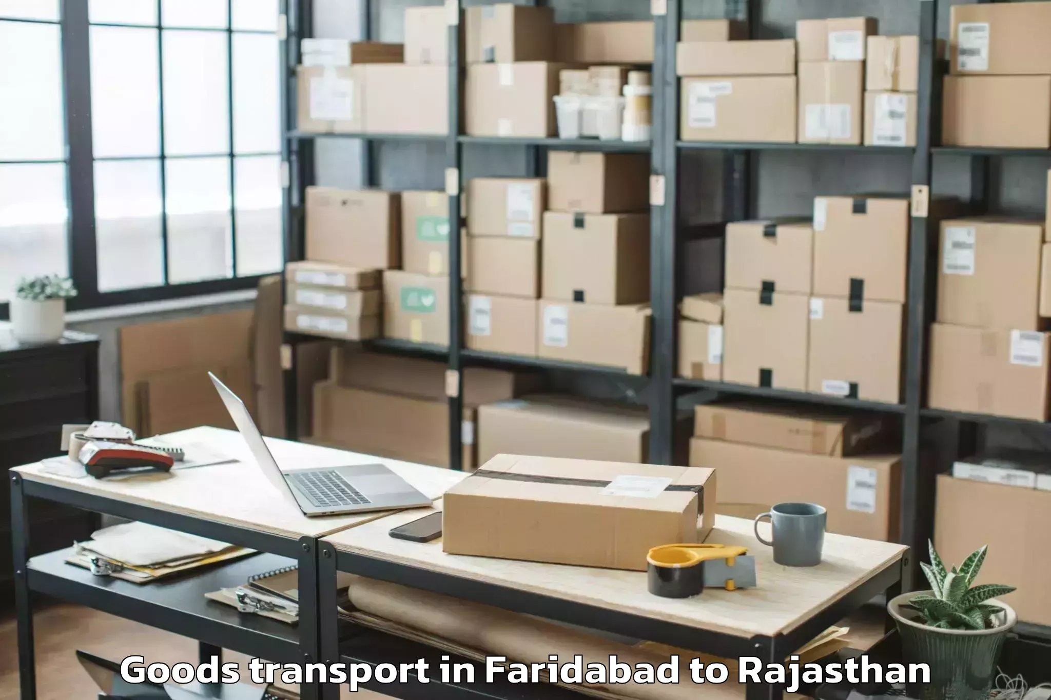 Leading Faridabad to Bagru Goods Transport Provider